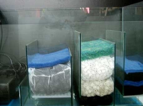 Aquarium filter compartments holding blue, green, and white media