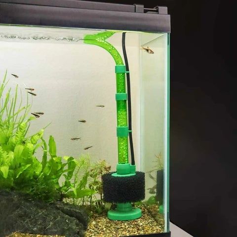 Small aquarium with a green sponge filter and several fish